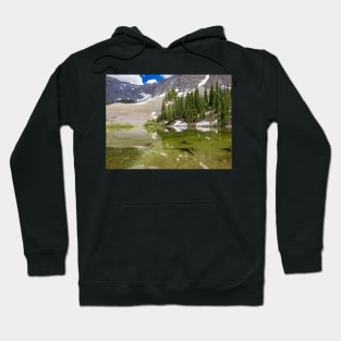 Alta Lakes Hoodie